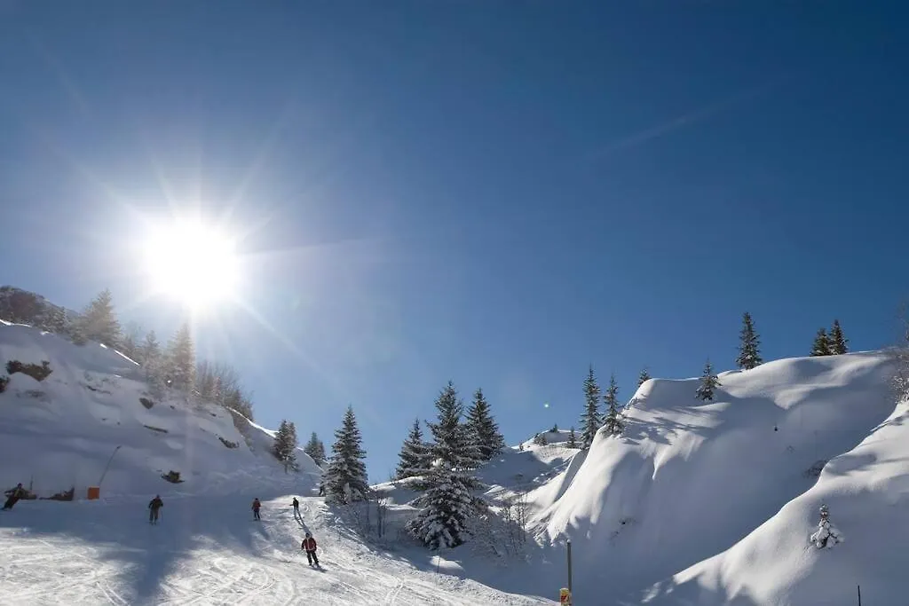Chalet Des Cousins: Fantastic Alpine Chalet Vaujany